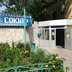 Сокіл
