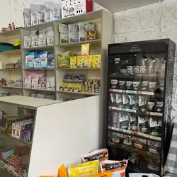 Асєя