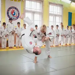 Айкітедо клуб Хікарі