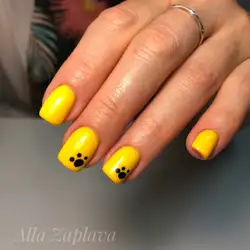 Алла Заплава