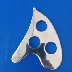Неля Гуль