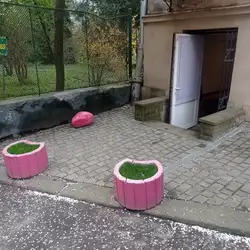 Аліса