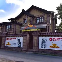 Рудий Кіт Берковец