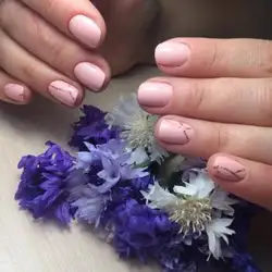 Галина Собко