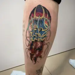 Багрій Анастасія
