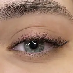 Lash Bar