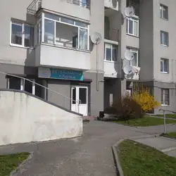 Vetis