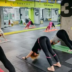 Animal Gymnastics Yoga - Ямська