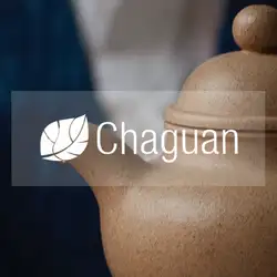 Чайна Chaguan — Киев