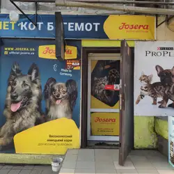 Кіт Бегемот — Днепр