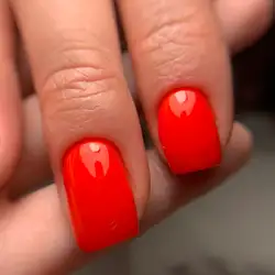 Gd beauty studio — Львів