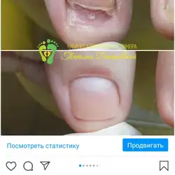Данішевська Тетяна