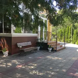 Сонячна поляна — Миколаїв