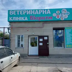 Біоритм