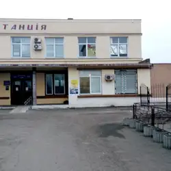 Алігатор