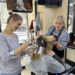 Монро — Одеса