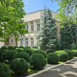 Гімназія Main School Олександрійська