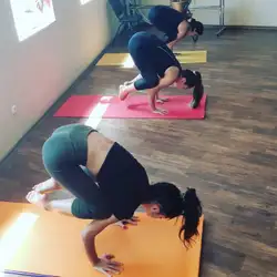 Sadhana