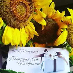 Шість відчуттів