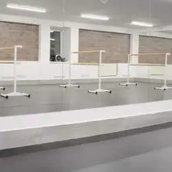 Kyiv ballet studio Alla Sytnik