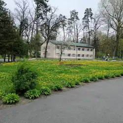 Салют