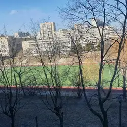 Football Field