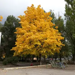 Школа