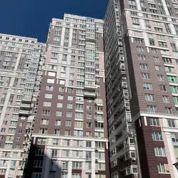 Стриж
