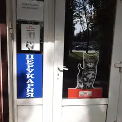 Лілія