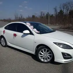 СТО 8 автобаза