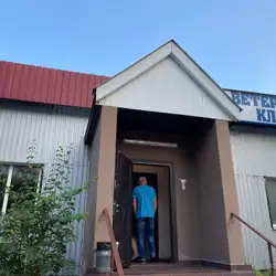 Фенікс