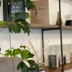 Smart Cup Cafe — Киев