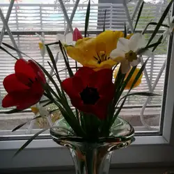 ЯНТАР КАФЕ-БАР — Одесса