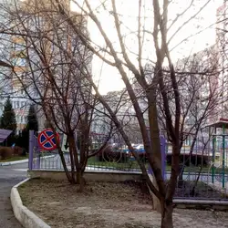 Дитячий садок №3 — Винница