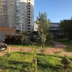 Імперіал