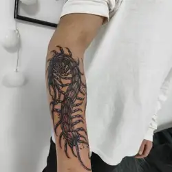 Tattoo Code