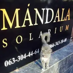 Mandala Solarium — Київ