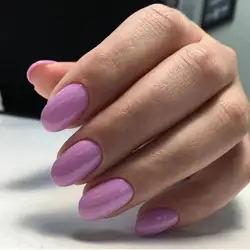 Камелія