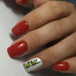 Анастасия Мазуренко