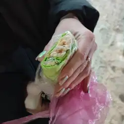 Doner King