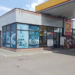 Фрумушика — Одесса