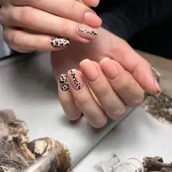 BEAUTY Workshop — Хмельницький