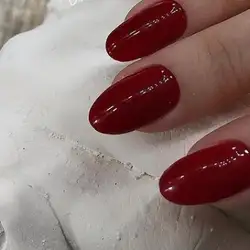 Дарина Скрипка