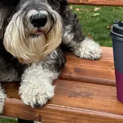 Cup Coffee