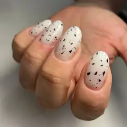 Анастасія Лисенко