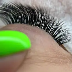 Perepelka lash