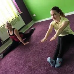 FitCurves