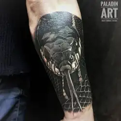 Дмитро Ткач — Киев