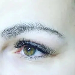 Анна Зелена — Киев