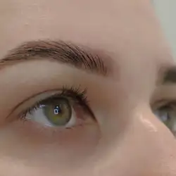 Brows Hub — Белая Церковь